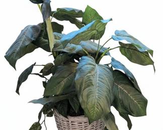Artificial Peace Lily Plant in Wicker Basket
