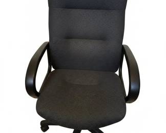 Ergonomic Office Chair