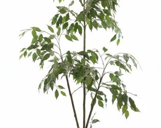 Ficus Tree Artificial Plant