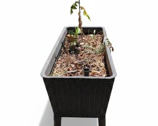 Keter Rectangular Raised Garden Planter Box
