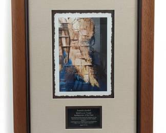 Juanita Audre Brill or Farrin Award Ambassador of the Year Framed Plaque