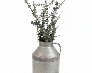 Vintage Galvanized Metal Watering Can with Eucalyptus