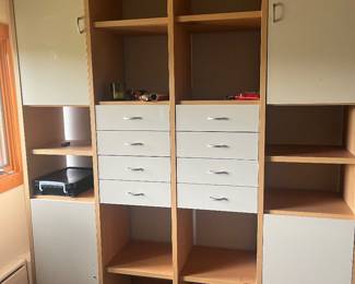 Techline cabnet and bedroom system $200