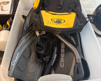 Snorkel Set- $20 all