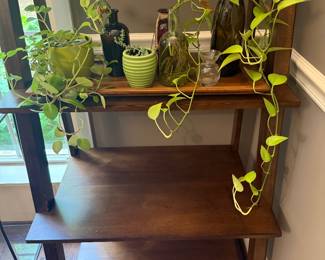 $35- tray and all plants / bundle set