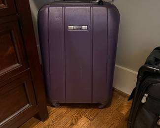 Delsey 21 inch spinner bag - $35