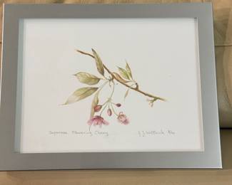 $15