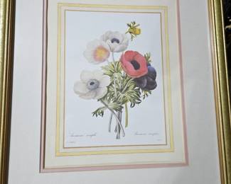 PierreJoseph Redout Anemone Simplex Print