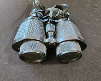 Vintage Panoramic Binoculars