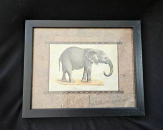 Brodtmann Young Elephant Print