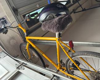 Mens Dorado Bike
