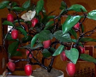 Plum Tree