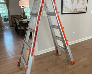 Little Giant Alta-One Ladder