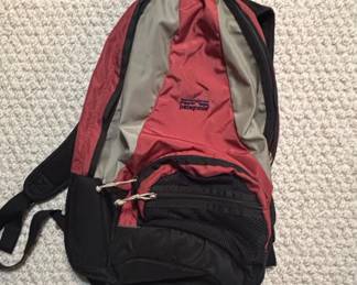 Patagonia Daypack Backpack