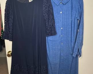 Eliza J Navy Lace Sleeve Dress and Corner House Blue ButtonFront Dress