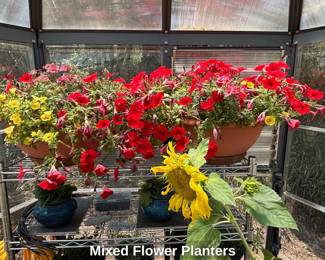 Mixed Flower Planters second image