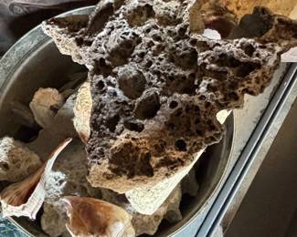 Decorative Lava Rock and Shell Display