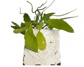 Collection of Houseplants third image