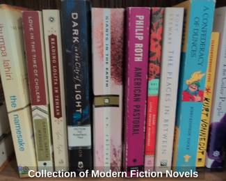 Collection of Modern Fiction Novels