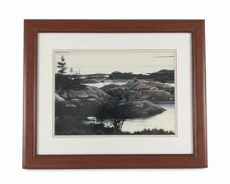 Coastal Landscape Framed Print