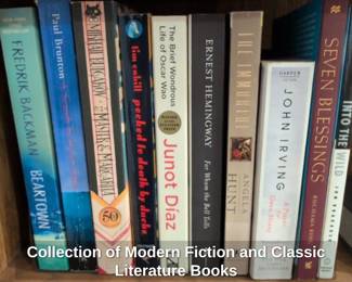 Collection of Modern Fiction and Classic Literature Books