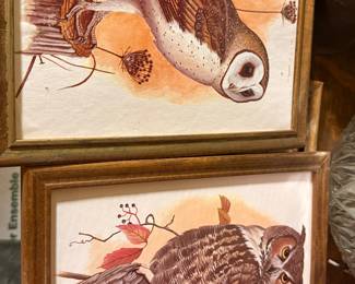 Owl Art