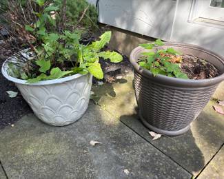 Lightweight Flower Pots