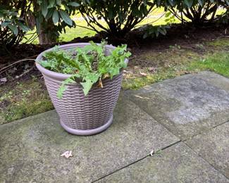 Light Weight Flower Pots