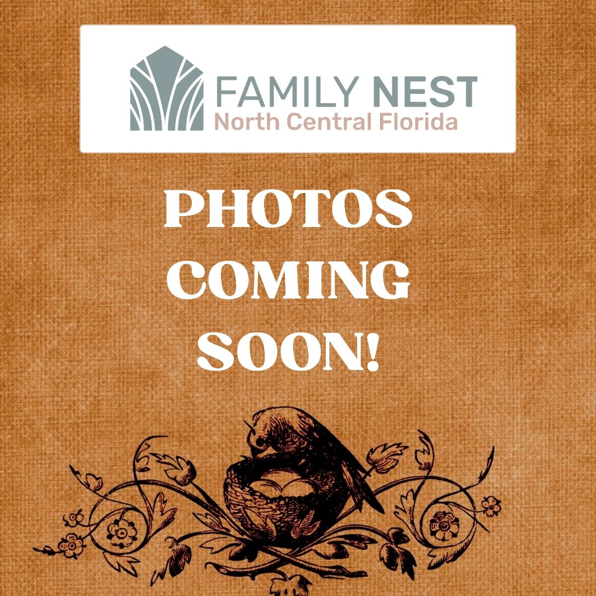 Photos Coming soon