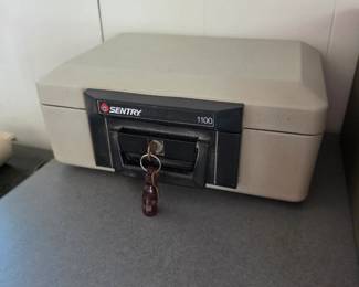 Sentry Safe