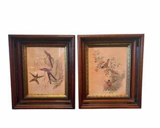 Vintage Set Of Two John Gould Paintings