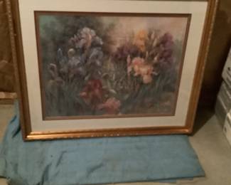 Iris Picture