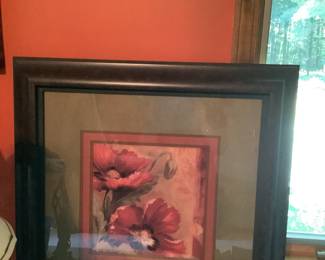 Red Poppy Picture