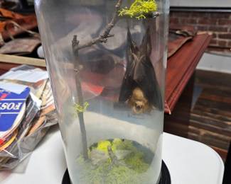 Preserved Bat
