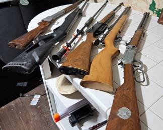 Pellet guns