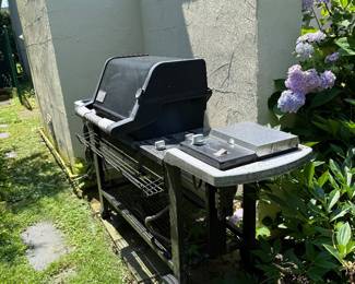 Weber Grill