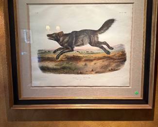 Audubon Framed Fox 