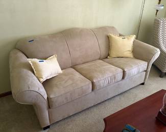 Suede couch