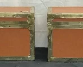 Everlite Union Trunks