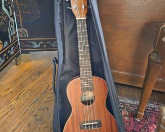 Kala KA-15S Mahogany Soprano Ukulele with Gig Bag