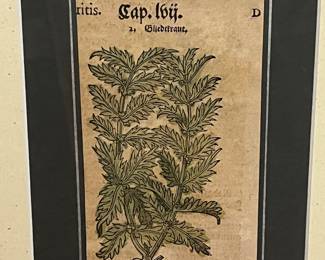 Antique 16th century German Botanical Print Gliedkraut Sideritis Herbal Leaf