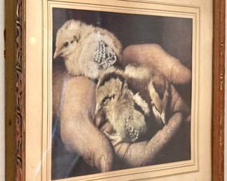 Baby Chicks in Hands Framed Art