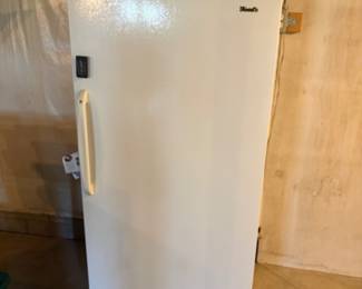 Woods upright freezer.