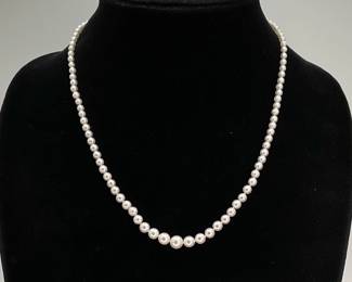 Pearl Necklace