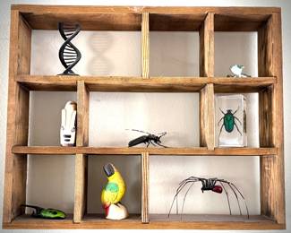 Curio Box with Bugs