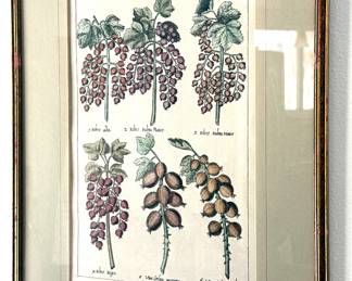 Botanical Art