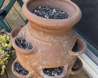 Terracotta Pot