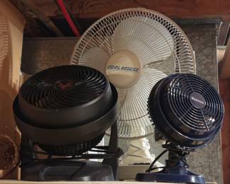 Fans