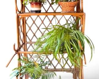 Rattan Bakers Rack with Glass Shelves Plants