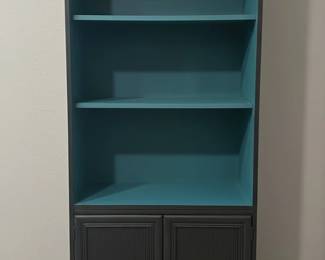 Repurposed Teal and Black Storage Bookcase